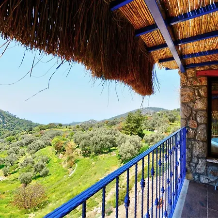 Private Oliver With View Ideal Spot For A Honeymoon Or Romantic Trip Villa *